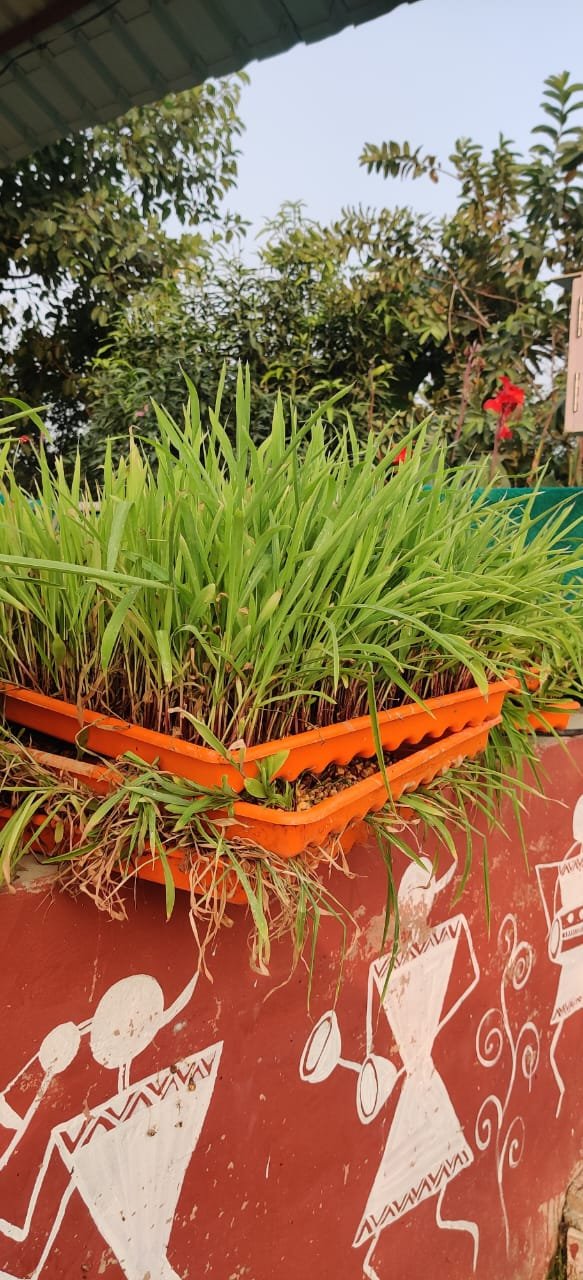Preparing the Soil